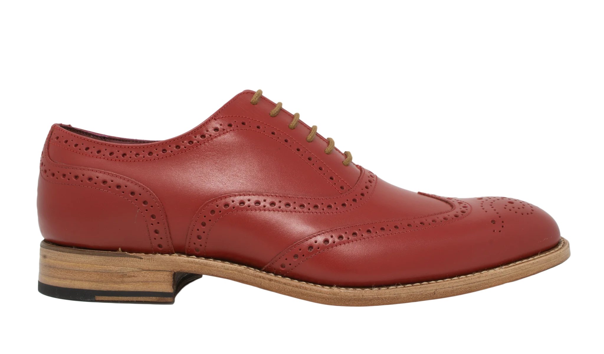 Brando 2 - Red Calf - Image 2