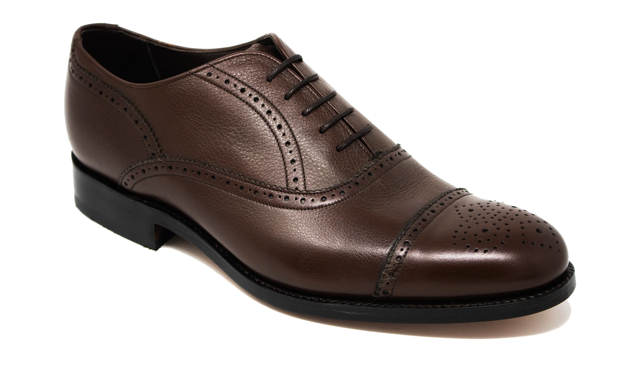 Newcastle - Brown Cervo