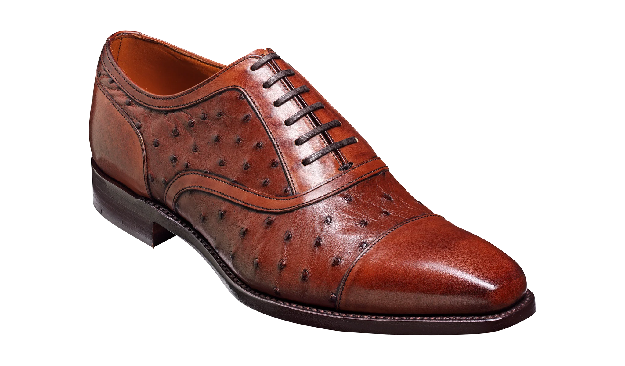 Puccini - Brown Calf / Ostrich