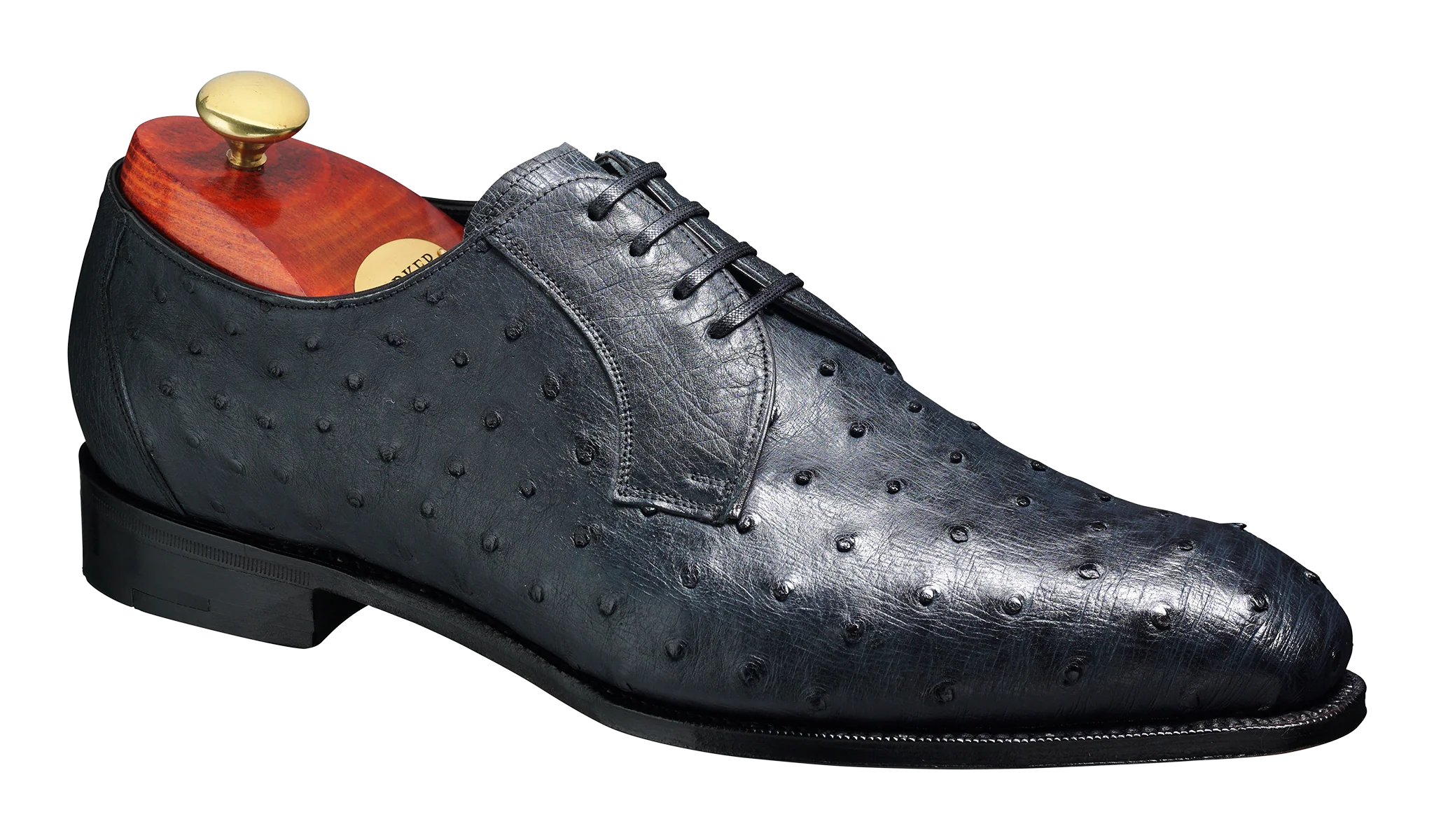 Sutherland - Navy Ostrich